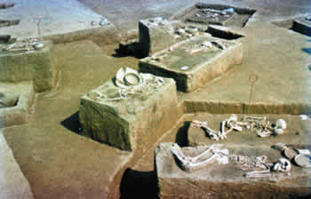 neolitske nekropola